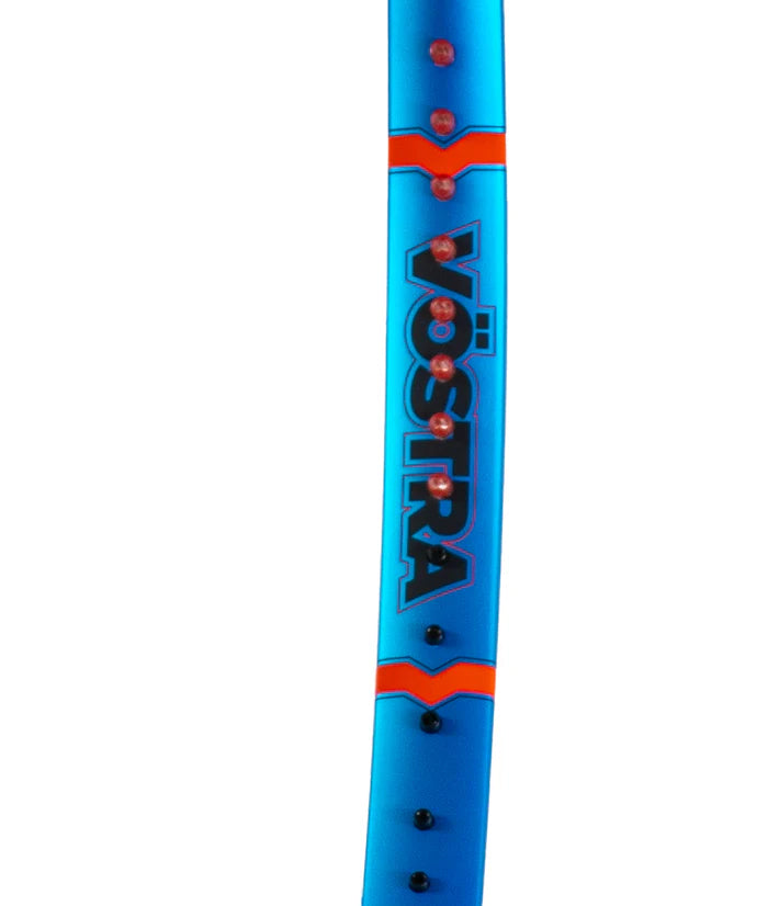 Volkl VÖSTRA V5